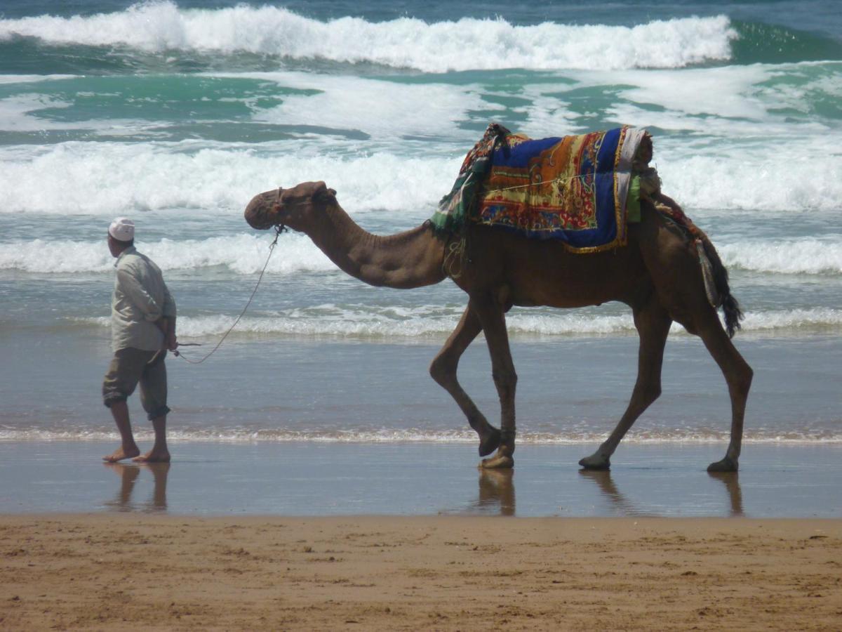 مبيت وإفطار Tigmi Blue - Imsouane Surf Et Ocean المظهر الخارجي الصورة